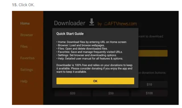 Downloader quick start screen on Fire Stick